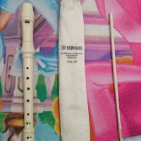 فلوت ریکوردر