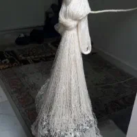 سالی