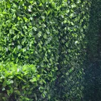 فنس برگی و  فنس چمنی در عرض مختلف از انبار