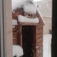 خانه ی حیوانات