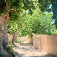 نظافت ویلا منزل پرستاری خود رابه ما بسپارید