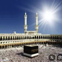خرید تمتع با بالاترین  قیمت