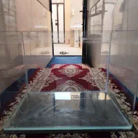 لوازم اکواریوم و ماهی گوپی مولی