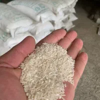 لاشه فجر امساله گلستان/ گرگان