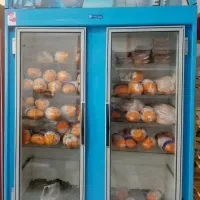 یخچال|یخچال و فریزر|بیرجند, |دیوار