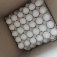 تخم مرغ شونه ای 300