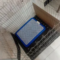 پارک حیوانات