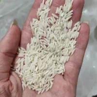 برنج هاشمی