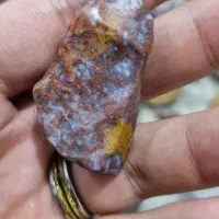 سنگ عقیق شجر دریایی