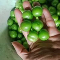 گوجه قرمز و سبز