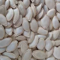 تخمه کدو گوشتی