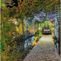آشپز کبابزن