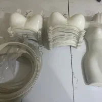 چوبکار سوتین سفید
