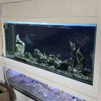 اکواریوم بزرگ 180*75*35 ده میل|ماهی|اصفهان, مولوی|دیوار