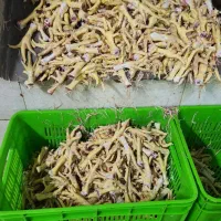 فروش پای مرغ تازه با قیمت عالی