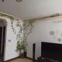 گل پتوس