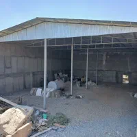 پیش-فروش-سوله-500-متری