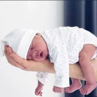 رحم تخمک جنین
