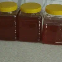 عسل