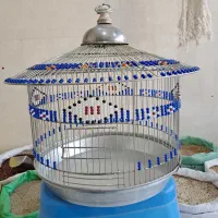 کبوتردانه