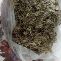 اویشن|خوردنی و آشامیدنی|مشهد, توس (بلوار توس)|دیوار