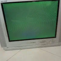تلویزیون