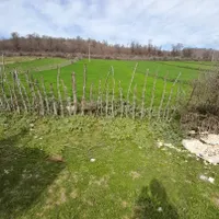 ۳۰۰۰ متر زمین آینده روشن در دل طبیعت|فروش زمین و ملک کلنگی|تهران, جنت‌آباد جنوبی|دیوار