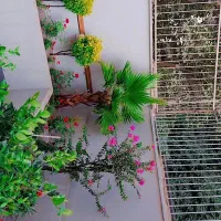 خدمات باغ ، باغبان وباغبانی ، سمپاشی حرص کاری کود
