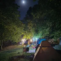 گروه طبیعت گردی