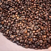 پخش عمده قهوه