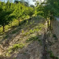 باغ-دربست-شخصی