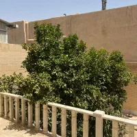منزل ۲۰۰ متری دشتی نرگس نیم طبقه ۴ میلیارد دو خواب