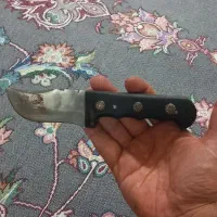 چاقو محمد طلا نو اصلا کار نکرده