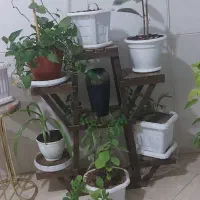 یک استند چوبی و۲۰ عدد گلدان