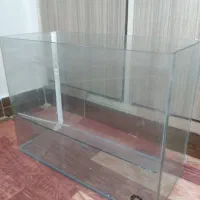 آکواریوم شیشه خم شرکتی