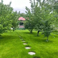 ۵۰۰۰متر زمین ۱۵۰۰ متر بنا سند شش دانگ چاه مجوز دار