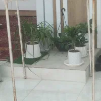 زیر کلری