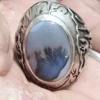بهترین شجر موجود