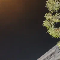 فروش آپارتمان 160و120متری در شهرک پرواز
