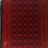 قصر|فرش|آمل, |دیوار