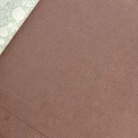 موکت نو پانخورده