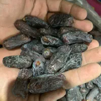 فروش پیارم حاجی آباد مشک و سورت شده