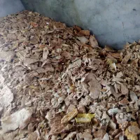 باسلام حدود ۲تن نون خشک تمیز تمیز فروش می‌رسد