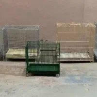 قفس سهره ، قناری ، طرقه