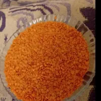 عدس دال