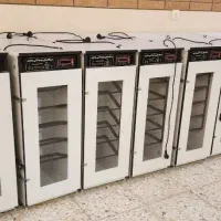 ماشین  ۰  ۰Randoman bali.    جوجه*      کشی/