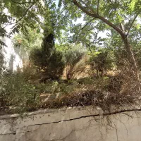کلنگی-با-جواز-5-طبقه