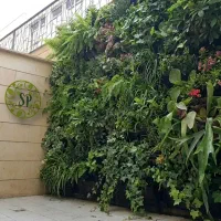 دیوار سبز و گرینوال مدل SP.FloraFelt