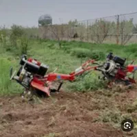 علف زنی وپاکنی باغهاوباغچها وگلخانها