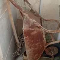 فرغون بزرگ با ورق کلفت سالم